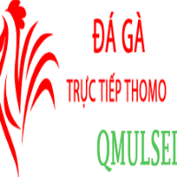 dagaqmulsed picture dagaqmulsed profile image