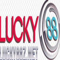 LUCKY88 picture LUCKY88 profile image