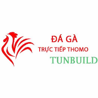 Đá Gà Trực Tiếp Thomo picture Đá Gà Trực Tiếp Thomo profile image