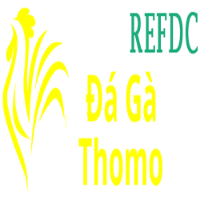 dagarefdc picture dagarefdc profile image