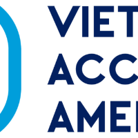 dinhcuvaa profile image