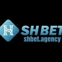 Shbet picture Shbet profile image
