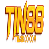 TIN88 picture TIN88 profile image