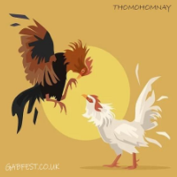 thomohomnay TRỰC TIẾP ĐÁ GÀ THOMO picture thomohomnay TRỰC TIẾP ĐÁ GÀ THOMO profile image