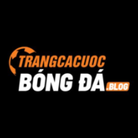 Trang Cá Cược Bóng Đá Uy Tín – Trải Nghiệm Thể Thao Đỉnh Cao picture Trang Cá Cược Bóng Đá Uy Tín – Trải Nghiệm Thể Thao Đỉnh Cao profile image