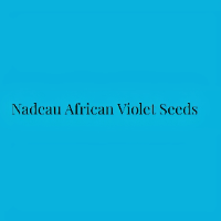 Thinker and Editor Nadeau African Violet Seeds writer and magazine editor Nadeau African Violet Seeds