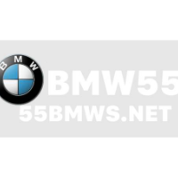Bookmaker 55BMW picture Bookmaker 55BMW profile image