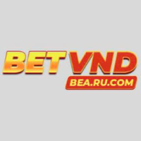 BetVND picture BetVND profile image