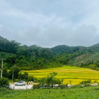 pandada profile image