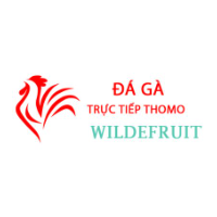 dagawilde picture dagawilde profile image