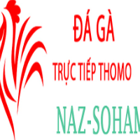 Đá Gà Trực Tiếp Thomo picture Đá Gà Trực Tiếp Thomo profile image