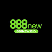 888NEW BID picture 888NEW BID profile image