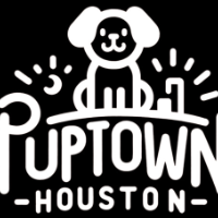 Houston dog trainer picture Houston dog trainer profile image