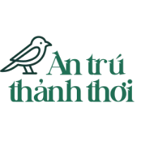antruthanhthoi picture antruthanhthoi profile image