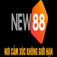 new882info picture new882info profile image