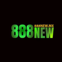 888newmx picture 888newmx profile image