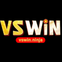Vswin ninja picture Vswin ninja profile image