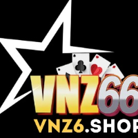 VNZ6 picture VNZ6 profile image