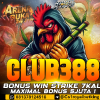 author - AGENROYALBETKING