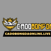cadobongdaonlinelive picture cadobongdaonlinelive profile image