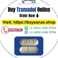 Purchase Tramadol Online 100 Tablets for Pain picture Purchase Tramadol Online 100 Tablets for Pain profile image