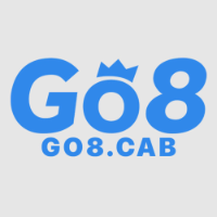 go8cab picture go8cab profile image