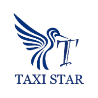 tongdaitaxistar picture tongdaitaxistar profile image