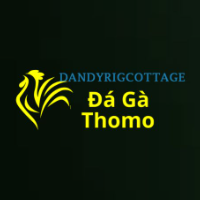 dagadandy picture dagadandy profile image