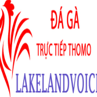 Đá Gà Trực Tiếp Thomo profile image