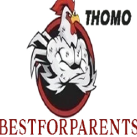 Đá Gà Trực Tiếp profile image