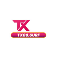 tx88surf profile image