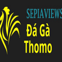 Đá Gà Trực Tiếp Thomo profile image