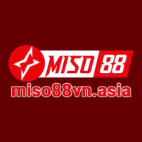 miso88vnasia picture miso88vnasia profile image