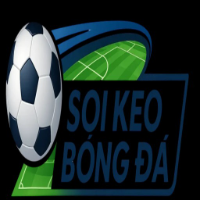 Soikeobongda07net picture Soikeobongda07net profile image