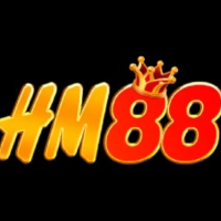 HM88 profile image