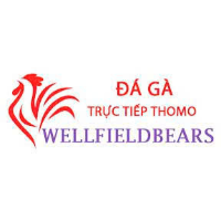 Đá Gà Trực Tiếp Thomo profile image