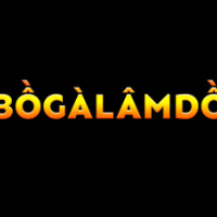 Bogalamdo Com profile image