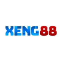 xeng88gold profile image