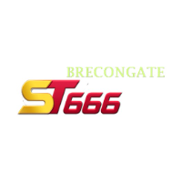 st666brecon profile image