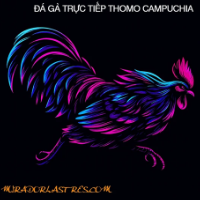 dagatructiepmirador profile image