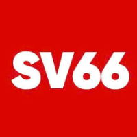 sv66mexcom profile image
