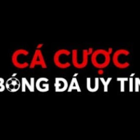 cacuocbongda121 profile image