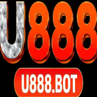 U888 profile image