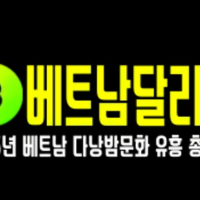 베트남밤문화 profile image