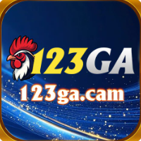 123GA cam profile image