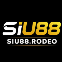 SIU88 profile image