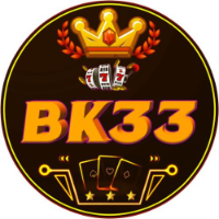BK33 profile image