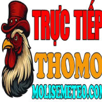 dagatructiepthomohomnay profile image