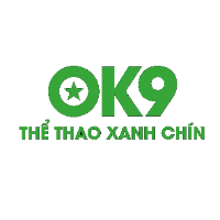 ok9world profile image