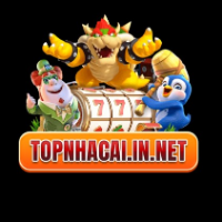 Topnhacaiin Net profile image